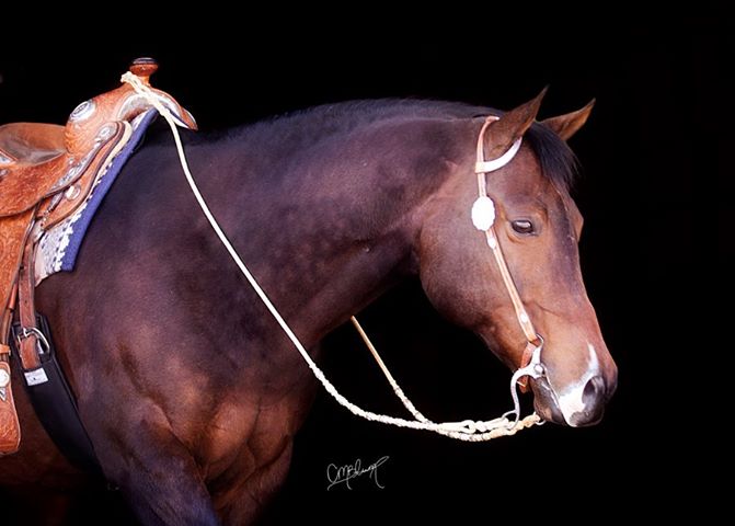 531070_397643676922172_207291878_n